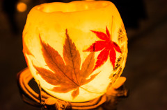 灯り