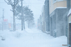 雪国③