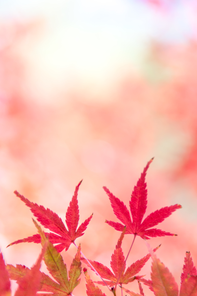 水彩　No.４