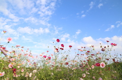 女心と秋の空