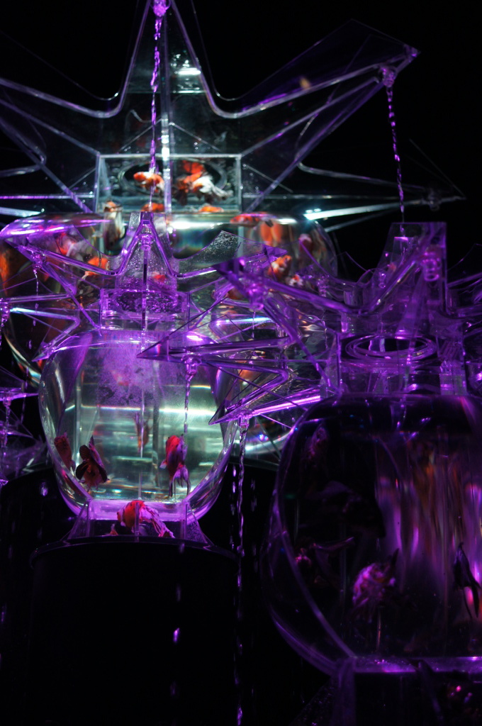 アクアリウム展_2013その５
