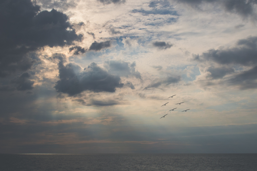 sky riders