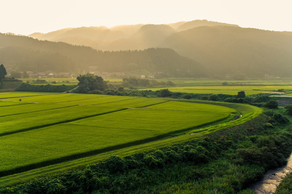 Scenery of the country in Ring Island