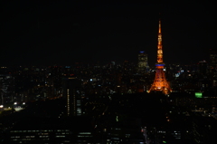 東京タワーPM8:00