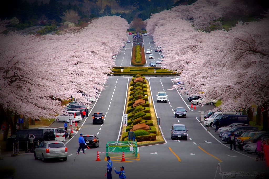 富士霊園