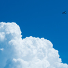 夏空フライト