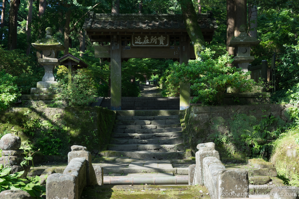 木漏れ日