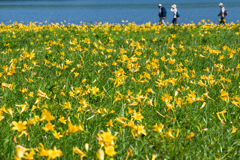 雄国沼の夏2