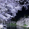 千鳥ヶ淵の夜