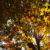 DA16-85mm 16mm F5.6