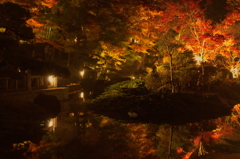 錦秋の夜