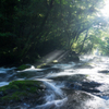 光射す渓谷