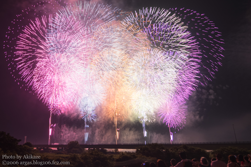 夏夜の彩り