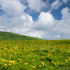 香る高原の夏