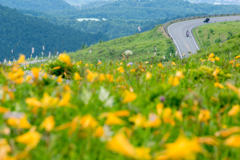 7月の車山高原