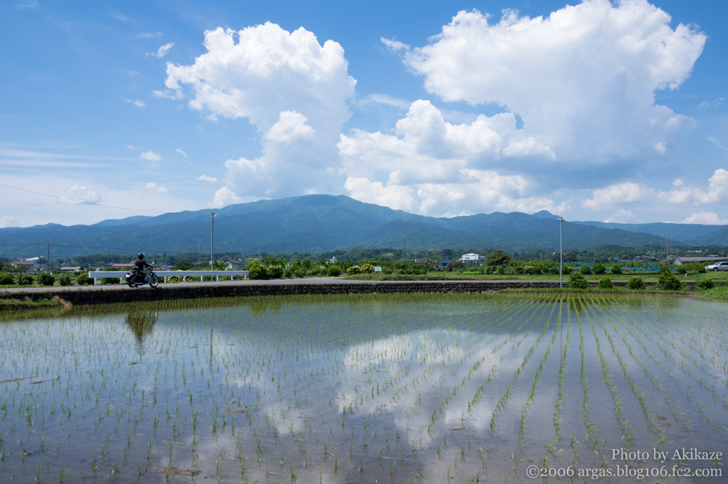 初夏の神奈川