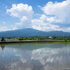 初夏の神奈川