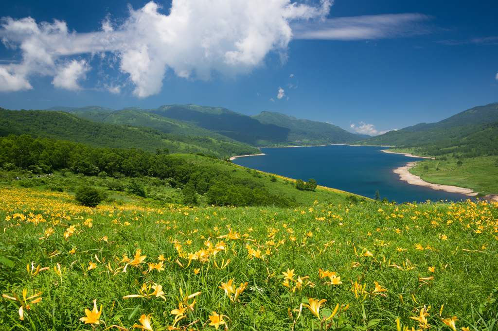 野反湖の夏