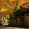 紅葉ツーリングの締めくくり