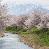 富山の春景