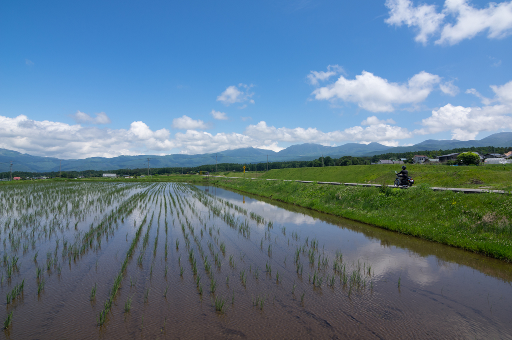 八ヶ岳エコーライン