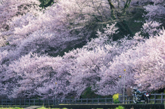 春めく