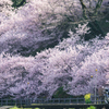春めく