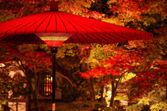 野点傘と秋の夜