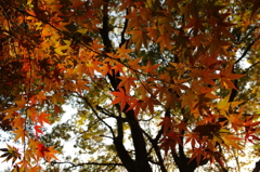 DA16-85mm 16mm F5.6_2