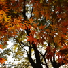 DA16-85mm 16mm F5.6_2