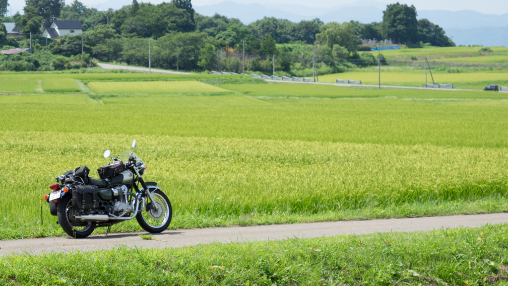 夏の田園