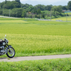夏の田園