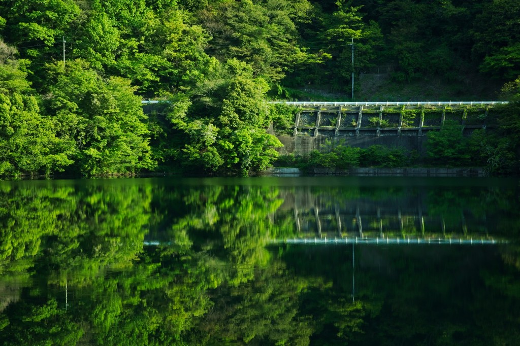 風薫る湖畔道