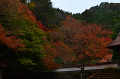 津和野#30