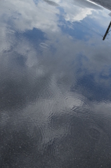 天気雨