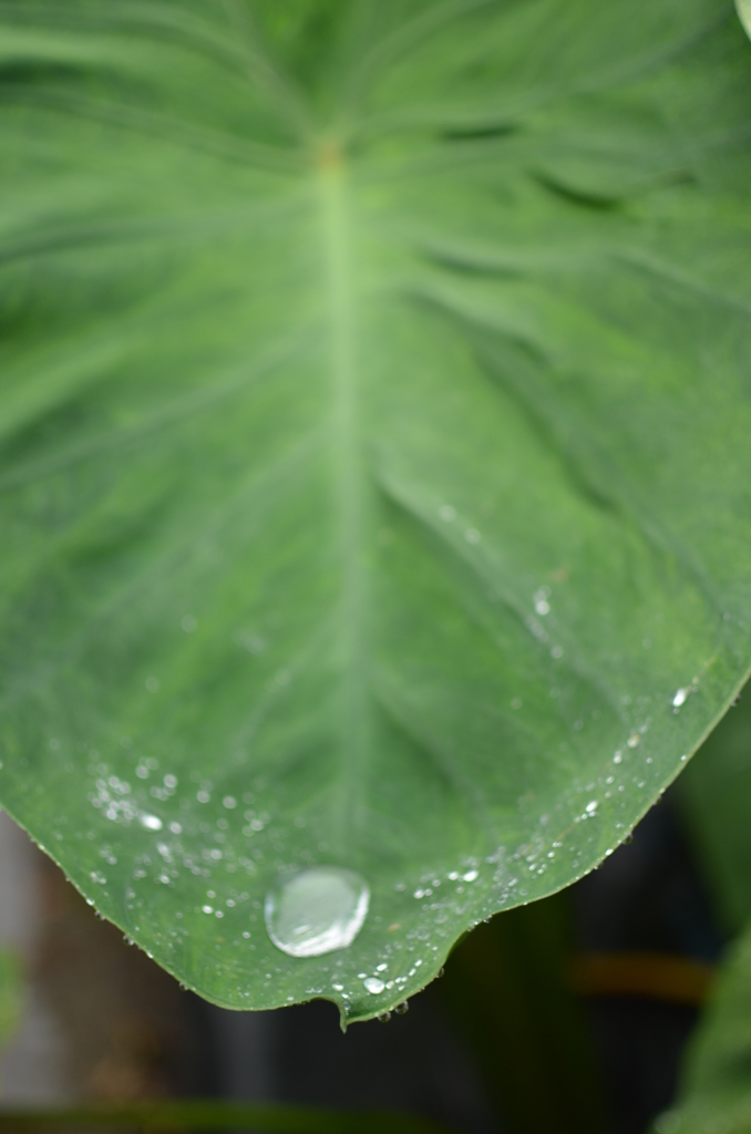 水滴