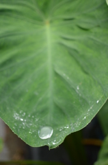水滴