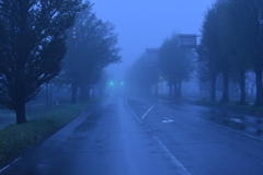 北海道の朝霧