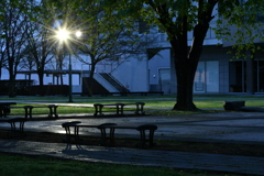 夜の公園