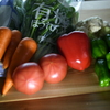 新鮮な有機野菜