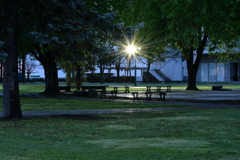 夜の公園