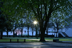 夜の公園