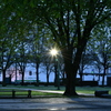 夜の公園