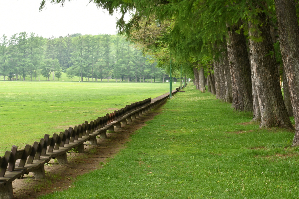 公園のベンチ