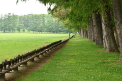 公園のベンチ