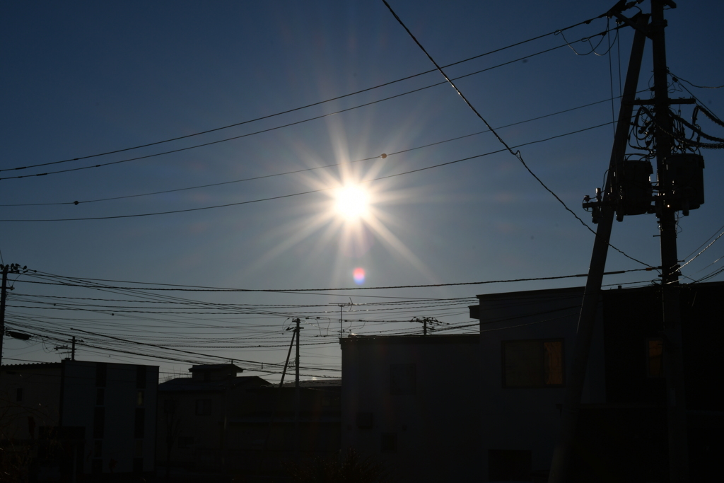 逆光