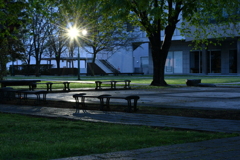 夜の公園