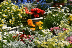 花2