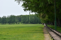 公園のベンチ