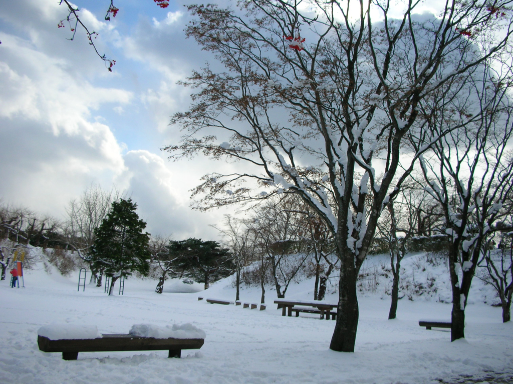 white Hokkaido 2005